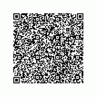 vCard 78113327704