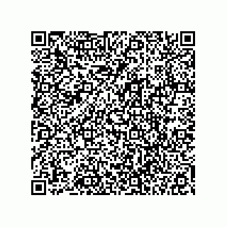 vCard 78113327705