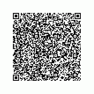 vCard 78113327710