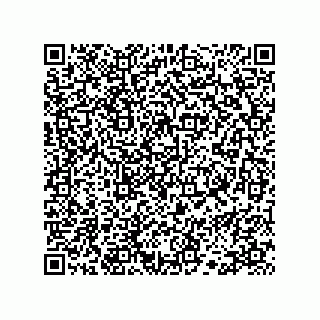 vCard 78113327729