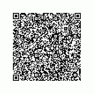 vCard 78113327736