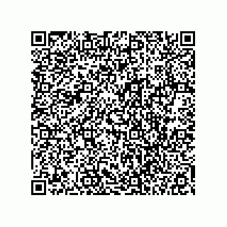 vCard 78113327738