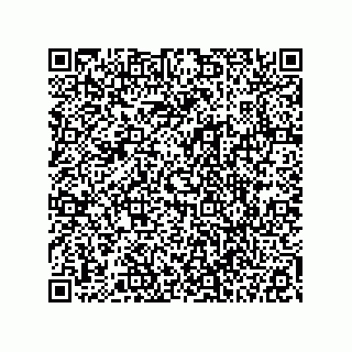 vCard 78113327740