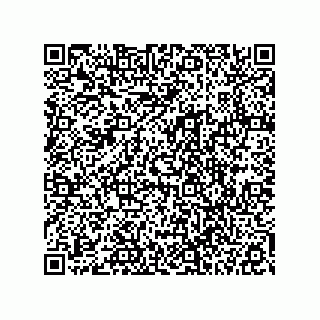 vCard 78113327741