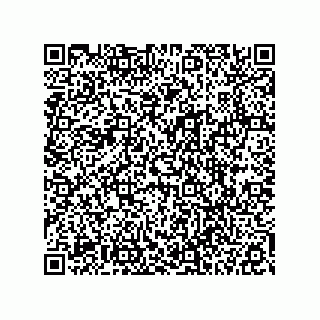 vCard 78113327794