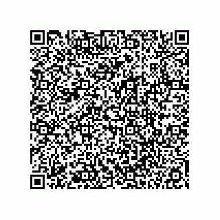 vCard 78113327800