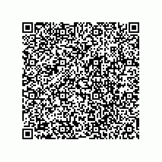 vCard 78113327808