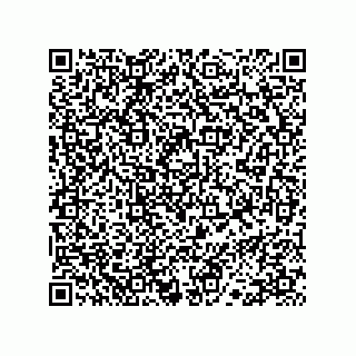 vCard 78113327809