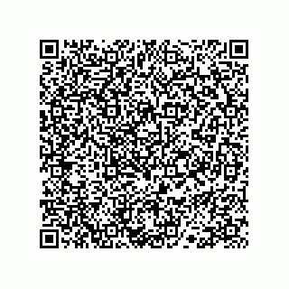 vCard 78113327873