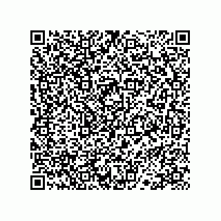 vCard 78113327880