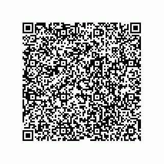 vCard 78113327899