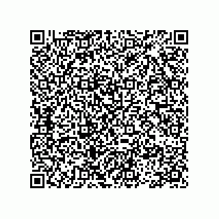 vCard 78113465500