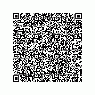 vCard 78113465503