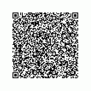 vCard 78113465505