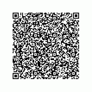 vCard 78113465507