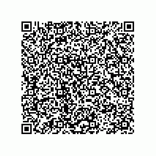 vCard 78113465509