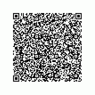 vCard 78113465515