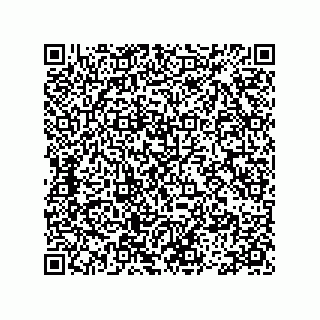 vCard 78113465519