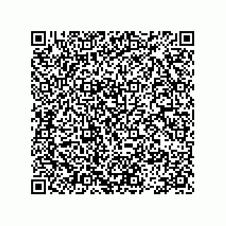 vCard 78113465531