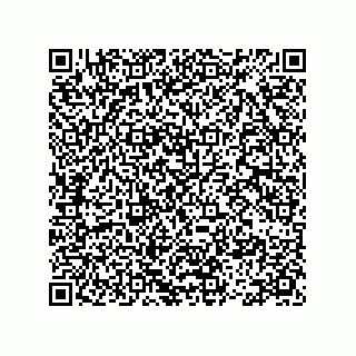 vCard 78113465537