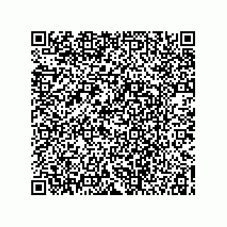 vCard 78113465540