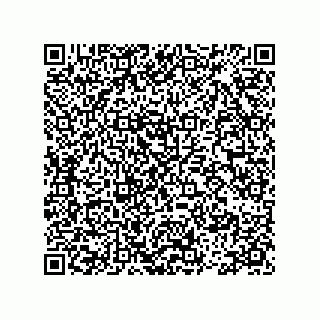 vCard 78113465541