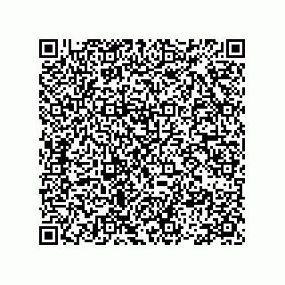 vCard 78113465570