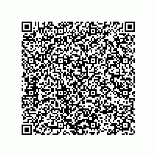vCard 78113465593