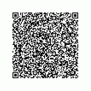 vCard 78113466181