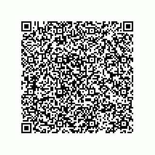 vCard 78113471309