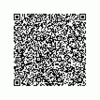 vCard 78113471381