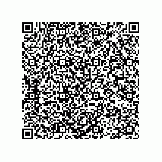 vCard 78113471391