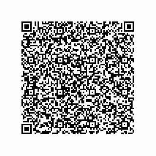 vCard 78113471399