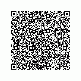 vCard 78113471429