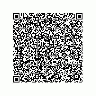 vCard 78113475100