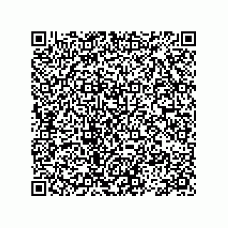 vCard 78113475101