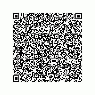 vCard 78113475203