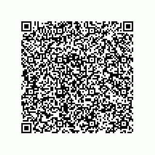 vCard 78113475217