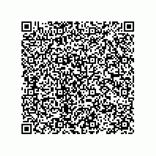 vCard 78113475221