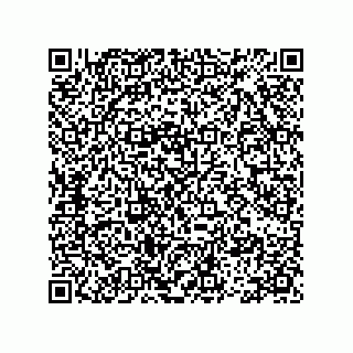 vCard 78113475289