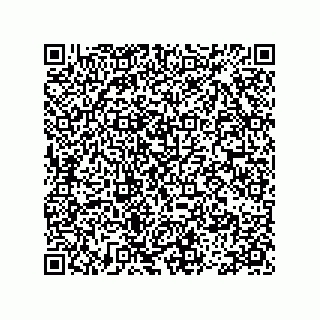 vCard 78113475301