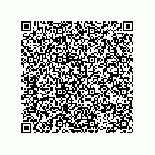 vCard 78113475313
