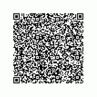 vCard 78113475338