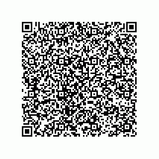vCard 78113475370