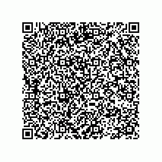 vCard 78113475379
