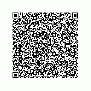 vCard 78113475381