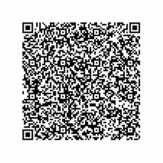 vCard 78113475382