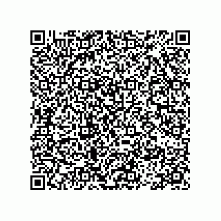 vCard 78113475384