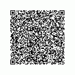 vCard 78113475385