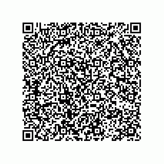 vCard 78113475387